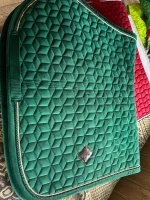 IMG_2154.jpeg