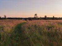 IMG_20250724_205007.jpg