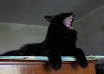 IMG_0630.JPG