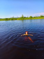 IMG_20250728_161017_899.jpg
