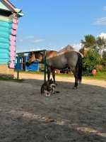 IMG_2207.jpeg