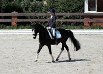 IMG_4279.jpeg