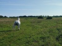 IMG_20250729_082404.jpg