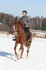 x_363e9a7f[1].jpg
