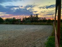 IMG_0931.jpeg