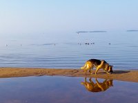 IMG_20250730_074854_353.jpg
