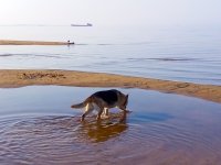IMG_20250730_074828_037.jpg