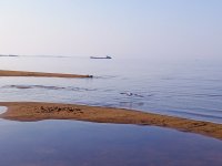 IMG_20250730_074819_724.jpg