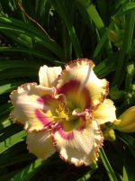 IMG_20250730_100453_1.jpg