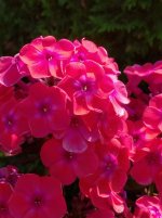 IMG_20250730_100547_1.jpg