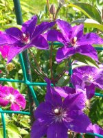IMG_20250730_100632.jpg