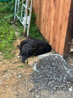 IMG_2244.jpeg