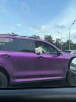 IMG_0065.jpeg