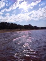IMG_20250731_080401_126.jpg