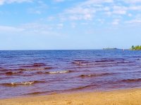 IMG_20250731_080558_460.jpg