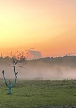 IMG_5636.jpeg