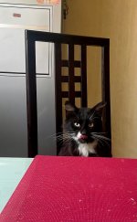 IMG_5734.jpeg