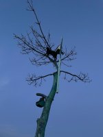 IMG_5408.jpeg