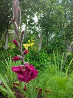 IMG_20250812_065402.jpg