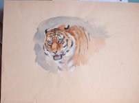 DSC_3541.jpg