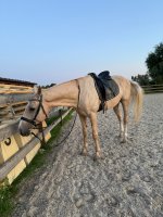 IMG_3928.jpeg