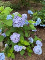 IMG_7952.jpeg