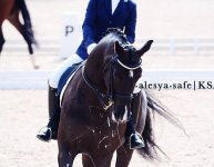 IMG_9129.jpeg