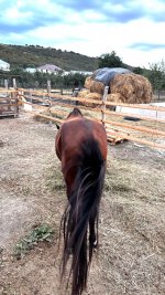 IMG_3922.jpeg