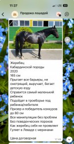 IMG_2637.jpeg
