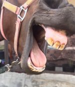 IMG_3939.jpeg