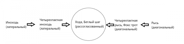 IMG_4185.png