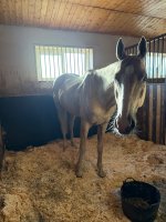 IMG_5077.jpeg