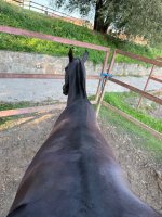 IMG_5070.jpeg