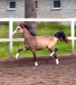 IMG_4228.jpeg