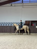 IMG_5503.jpeg
