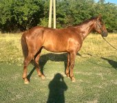 IMG_4709.jpeg