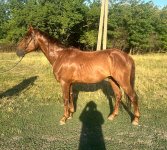IMG_4684.jpeg