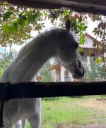IMG_6175.jpeg