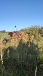 IMG-20250907-WA0032.jpeg