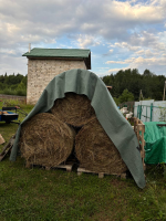 изображение_2025-09-08_092330052.png