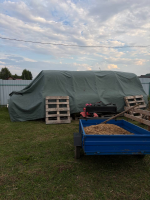 изображение_2025-09-08_092341433.png