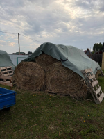 изображение_2025-09-08_092358247.png