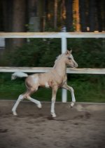 IMG_4348.jpeg