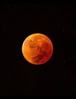 IMG_6375.jpeg