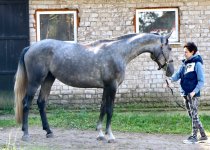 IMG_5773.jpeg
