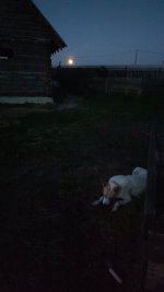 IMG-20250910-WA0136.jpeg
