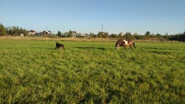 IMG-20250911-WA0008.jpeg