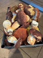 IMG_0613.jpeg