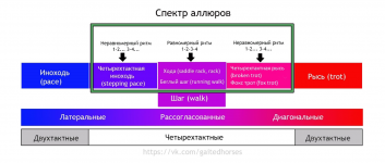 IMG_4264.png