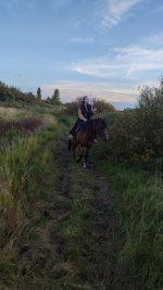 IMG-20250912-WA0057.jpeg